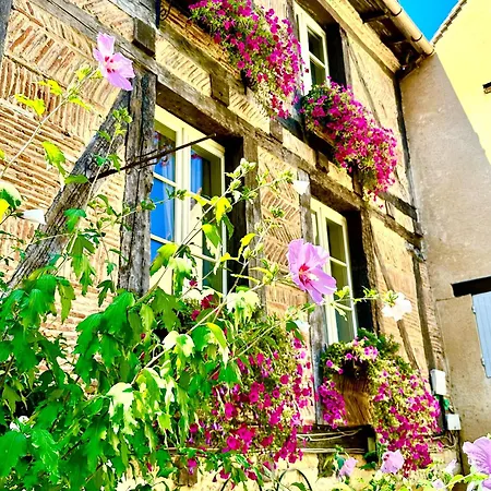 Bed & Breakfast Le Logis Plantagenet *