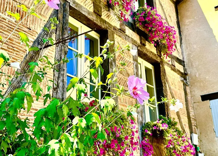 Couette-café Le Logis Plantagenêt 3*